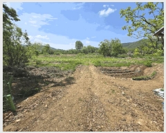  2025Ÿ��52055  �����