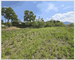  2025Ÿ��52055  �����