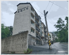  2025Ÿ��52209  �ټ���(����)���