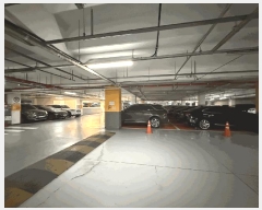  2025Ÿ��52227  ����Ʈ���