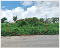  2025Ÿ��52409 ��� ���ֽ� ���� 297-1       �ٰ������ð��