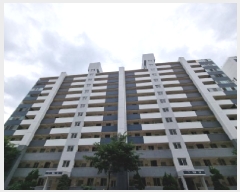  2025Ÿ��52495  ����Ʈ���