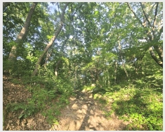  2025Ÿ��52566 ��� ������ �д籸 �д絿 ��12      ����(�Ӿ�)���