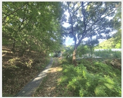  2025Ÿ��52566 ��� ������ �д籸 �д絿 ��12      ����(�Ӿ�)���