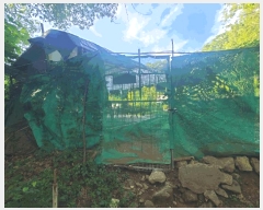  2025Ÿ��52566 ��� ������ �д籸 �д絿 ��12      ����(�Ӿ�)���