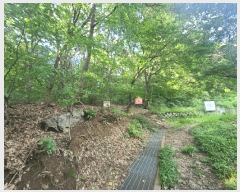  2025Ÿ��52566 ��� ������ �д籸 �д絿 ��12      ����(�Ӿ�)���