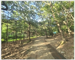  2025Ÿ��52566 ��� ������ �д籸 �д絿 ��12      ����(�Ӿ�)���