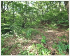  2025Ÿ��52566 ��� ������ �д籸 �д絿 ��12      ����(�Ӿ�)���