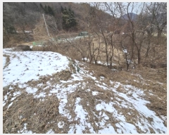  2025Ÿ114  ֽ  û 376-1      ()