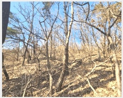  2025Ÿ442   ߿ ̵ 9      (Ӿ)