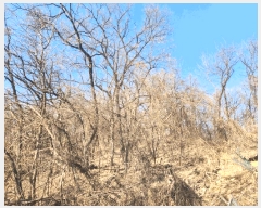  2025Ÿ442   ߿ ̵ 9      (Ӿ)