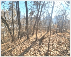  2025Ÿ442   ߿ ̵ 9      (Ӿ)