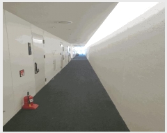  2025Ÿ��503  ���ǽ��ڰ��