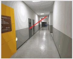  2025Ÿ596  ϳ ǳ굿 490-2 Ͽ콺𽺸Ʈ븮 4409ȣ     Ʈ