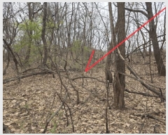  2025Ÿ��930  �Ӿ߰��