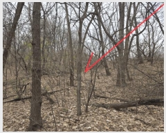  2025Ÿ��930  �Ӿ߰��