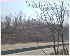  2025Ÿ��930  �Ӿ߰��