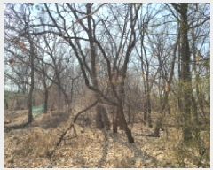  2025Ÿ��930  �Ӿ߰��