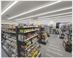  2025Ÿ��1964  �ٸ��ü����