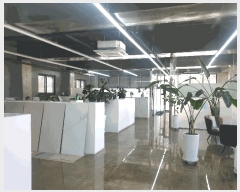  2025Ÿ��51564  �ٸ��ü����