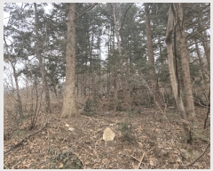  2025Ÿ51642  ֽ ̸  35-3      ð