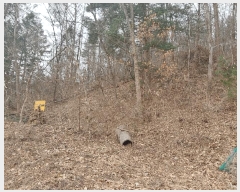  2025Ÿ51642  ֽ ̸  35-3      ð