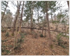  2025Ÿ51642  ֽ ̸  35-3      ð