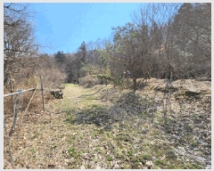  2025Ÿ51840  ֽ  ɸ 59-1      (Ӿ)