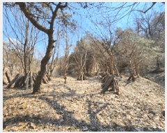  2025Ÿ51840  ֽ  ɸ 59-1      (Ӿ)