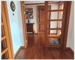  2025Ÿ��51906 ��� ������ �д籸 �ó��� 334-1      ���ð��