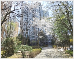  2025Ÿ��51916 ��� ���ֽ� ������ 1229 ������-���Ѽ��� 104�� 11�� 1102ȣ   ����Ʈ���