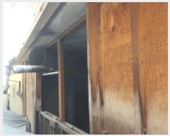  2025Ÿ��51943 ��� ������ �д籸 ���̵� 36-6      �ܵ�����,�����ð��