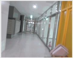  2025Ÿ��51989  �ٸ��󰡰��