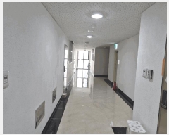  2025Ÿ��52144  ���ǽ��ڰ��