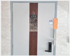  2025Ÿ��52228  �ټ���(����)���