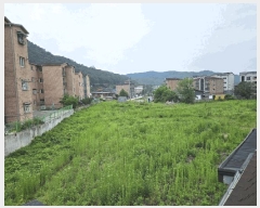  2025Ÿ��52267  ����