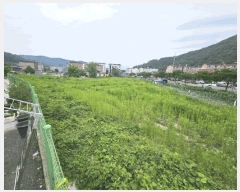  2025Ÿ��52267  ����