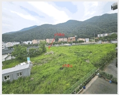  2025Ÿ��52267  ����