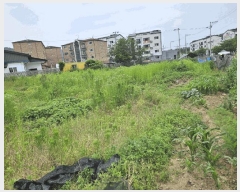  2025Ÿ��52267  ����