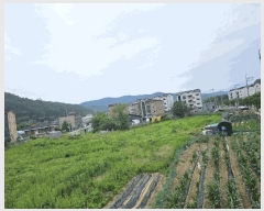  2025Ÿ��52267  ����