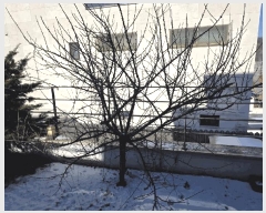  2025Ÿ��52282 ��� ���ֽ� ������ 312-20       ���ð��