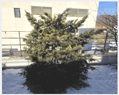  2025Ÿ��52282 ��� ���ֽ� ������ 312-20       ���ð��