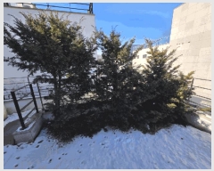  2025Ÿ��52282 ��� ���ֽ� ������ 312-20       ���ð��