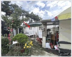  2025Ÿ��52574  ���ð��