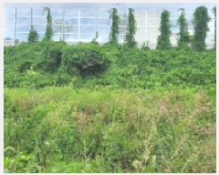  2025Ÿ��52727 ��� ���ֽ� ������ 611-2       ����(����)���