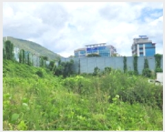  2025Ÿ��52727 ��� ���ֽ� ������ 611-2       ����(����)���