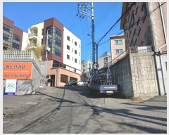  2025Ÿ50058  ֽ  377 ĳ ̵ 2202ȣ    ټ,