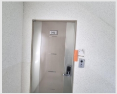  2025Ÿ50058  ֽ  377 ĳ ̵ 2202ȣ    ټ,