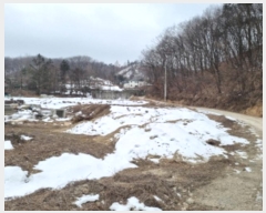  2025Ÿ50515  ֽ  縮 316-12      (1)