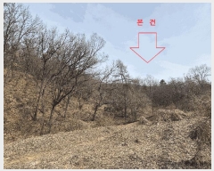  2025Ÿ��51743  �Ӿ߰��